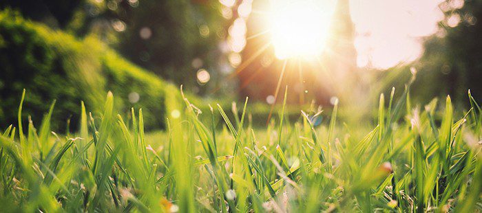 Celebrate the Season of New Beginnings with a Donor Advised Fund